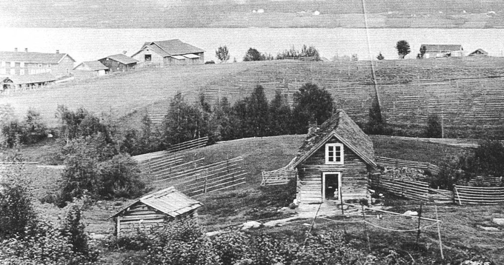 Vintage picture of a husmannsplass (cottage) located on a large farm (buildings in distance on upper left) with the Randsfjord in the distant background.